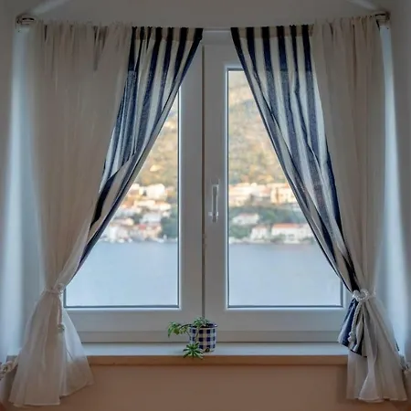 Shell Apartment *