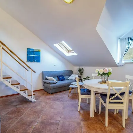 Apartment Shell *